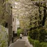 Living in Japan as an Indonesian: What It’s Really Like