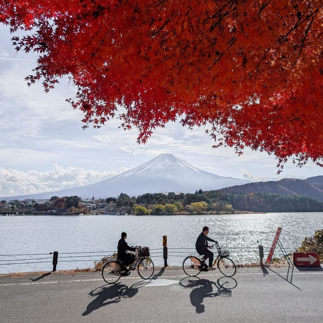 Nakamura Study Japan - What’s So Great About Living in Japan?
