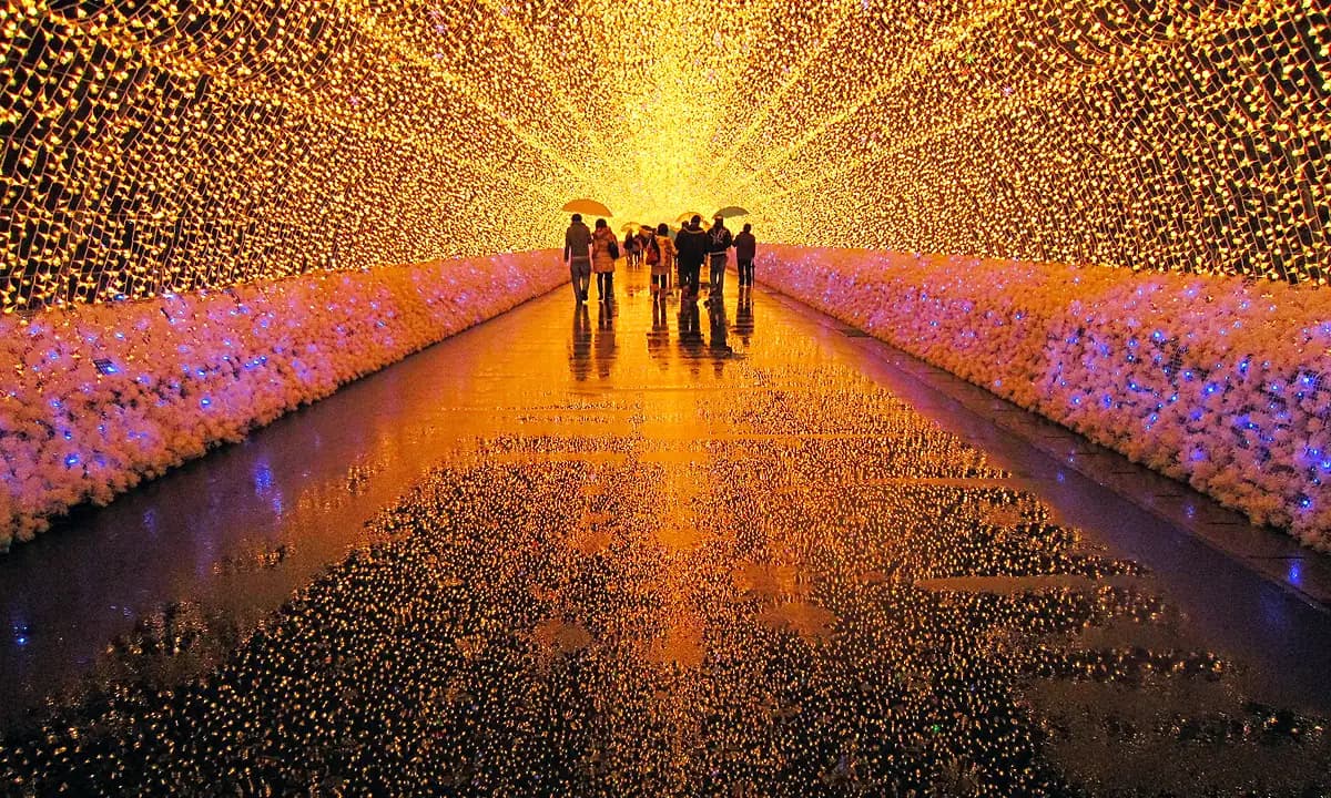 Iluminasi Musim Dingin & Fuji dari Kawaguchi