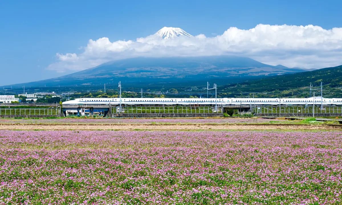 Golden Route Jepang: Tokyo hingga Osaka