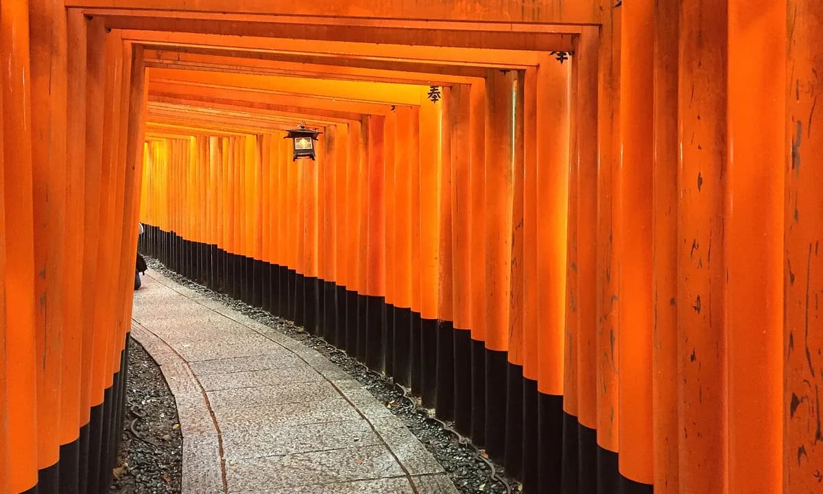 Kyoto Highlights: Torii, Temples & Bamboo