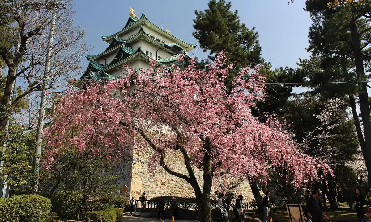 Nagoya Day Tour: Castle, Shrine & Bullet Trains
