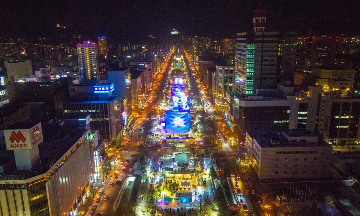 Sapporo City Highlights & Night Views