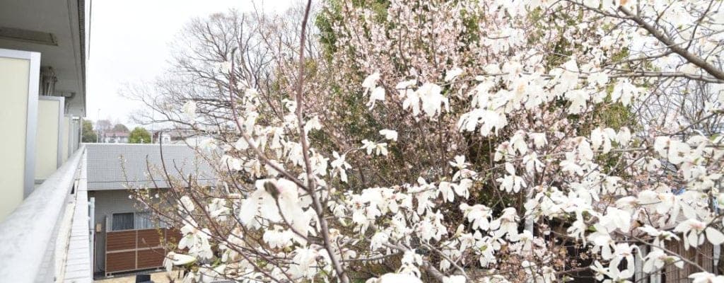 Share House Green Share Chofu — 16/18