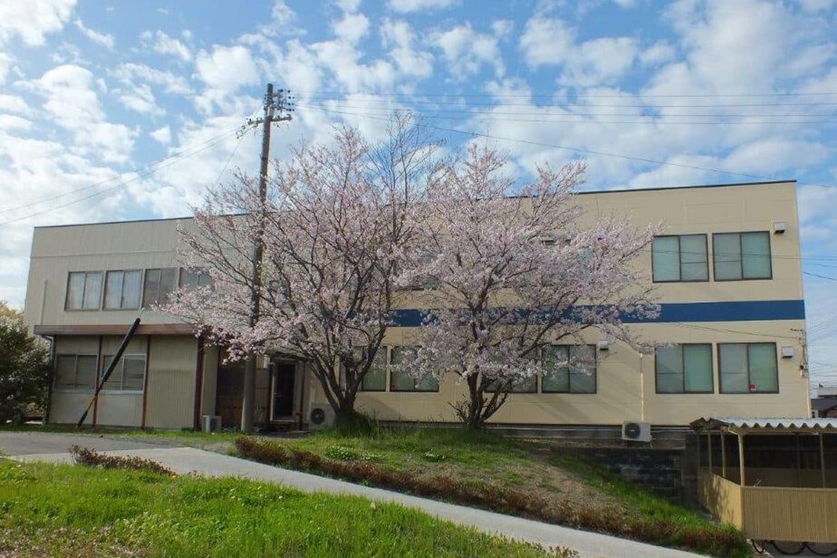 Shizuoka International Language School