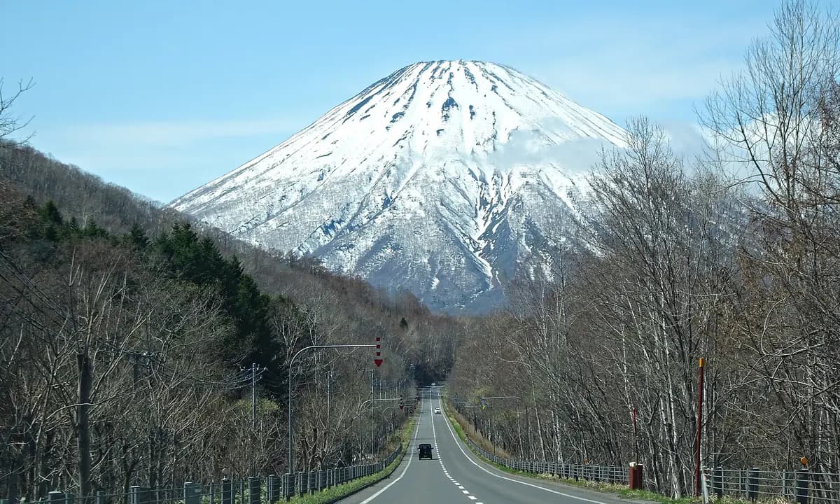 Private Niseko ⇄ New Chitose Airport Transfer