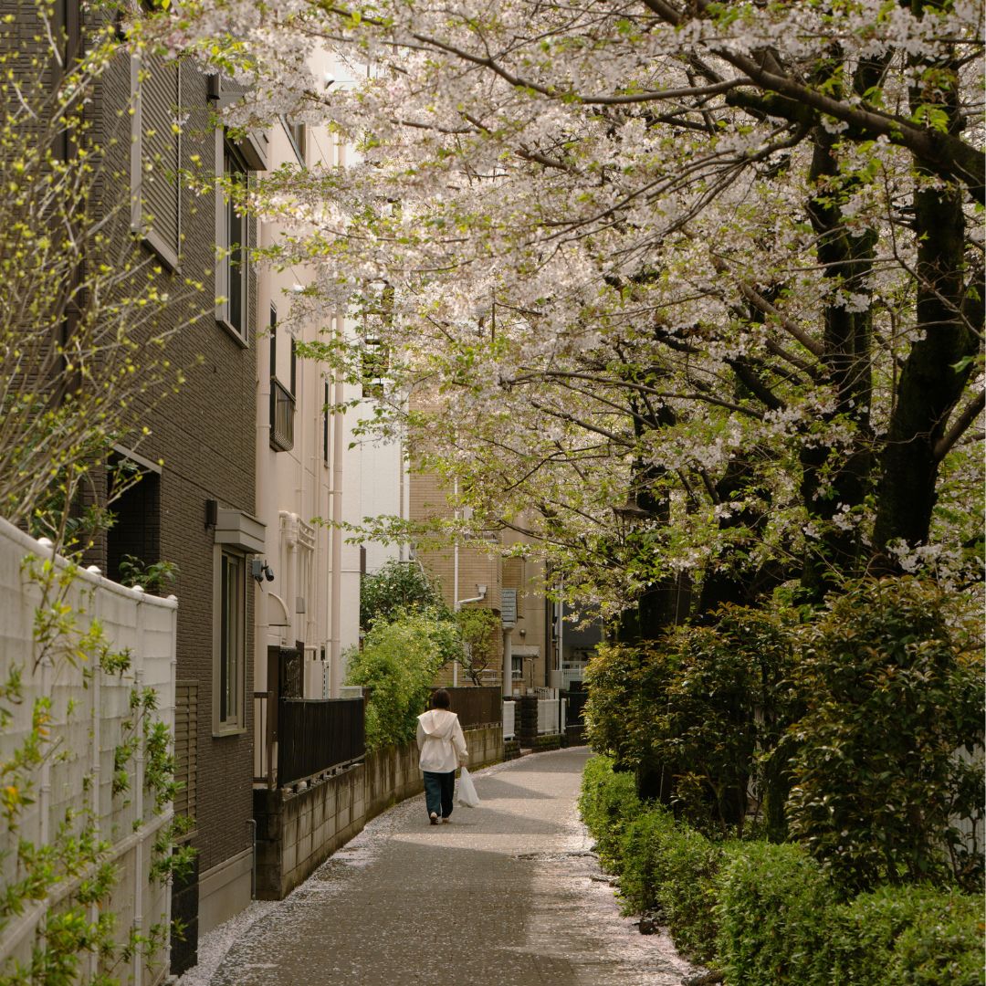 Living in Japan as an Indonesian: What It’s Really Like