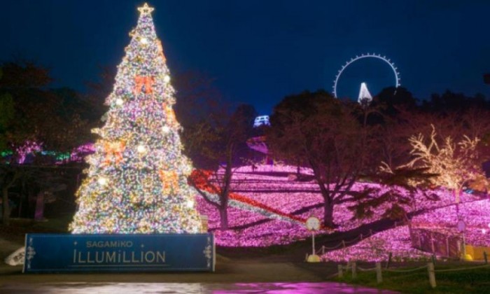 Winter Illuminations & Mt. Fuji at Kawaguchiko
