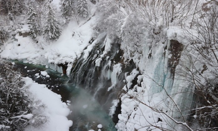 Furano & Biei Winter Snow Escape